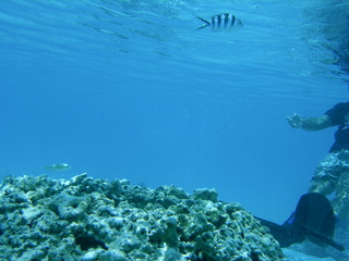 Tim and Dana Higel in Bora Bora