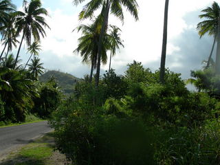 Tim and Dana Higel in Bora Bora