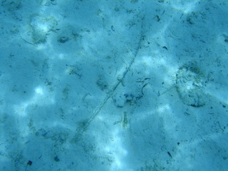 Tim and Dana Higel in Bora Bora