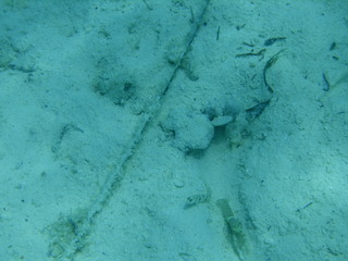 Tim and Dana Higel in Bora Bora