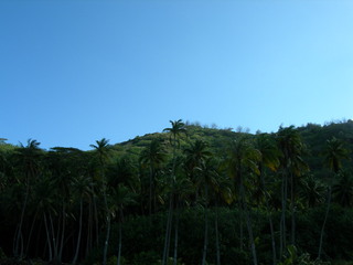 Tim and Dana Higel in Bora Bora