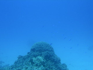 Tim and Dana Higel in Bora Bora