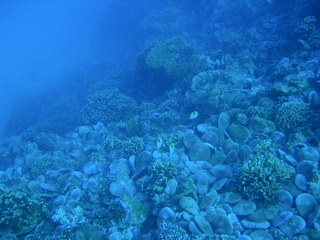 Tim and Dana Higel in Bora Bora