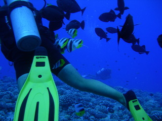 Tim and Dana Higel in Bora Bora