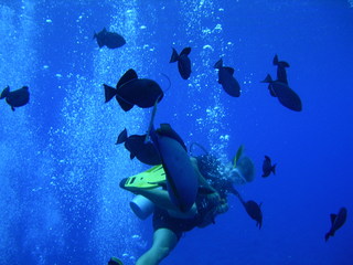 Tim and Dana Higel in Bora Bora