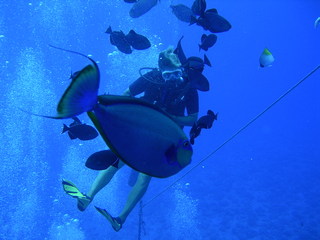 Tim and Dana Higel in Bora Bora