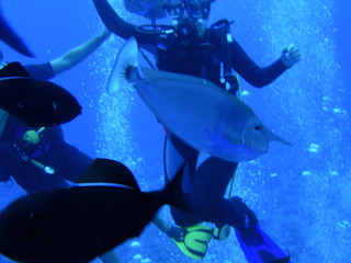 Tim and Dana Higel in Bora Bora