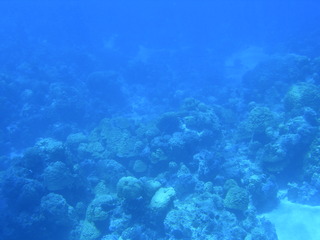 Tim and Dana Higel in Bora Bora