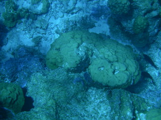 Tim and Dana Higel in Bora Bora