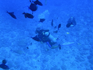 Tim and Dana Higel in Bora Bora