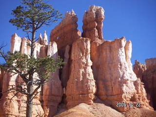 Bryce Canyon -- Queen's Garden Trail