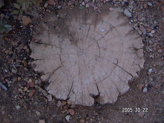 Bryce Canyon -- Queen's Garden Trail