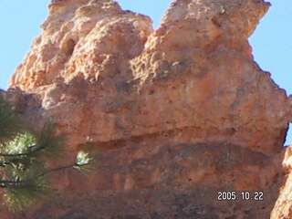 Bryce Canyon -- Queen's Garden Trail