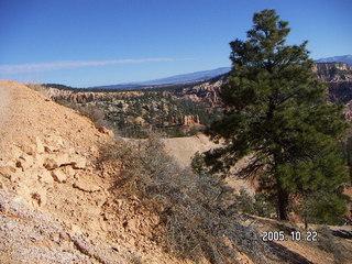 Aerial -- Bryce Canyon