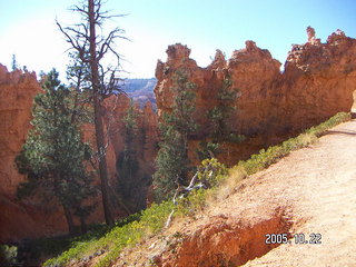Bryce Canyon -- Queen's Garden Trail