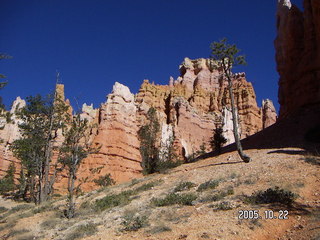 Bryce Canyon -- Queen's Garden Trail
