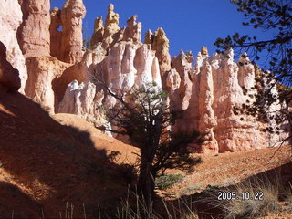 Bryce Canyon -- Queen's Garden Trail