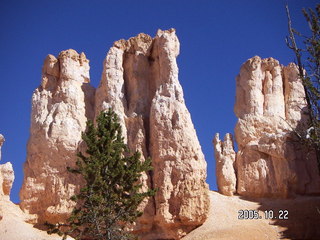 Bryce Canyon -- Peek-a-boo Loop