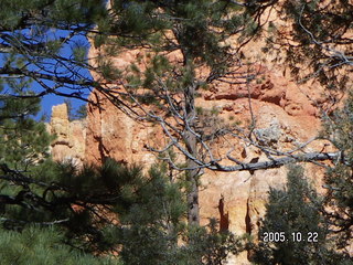 Bryce Canyon -- Queen's Garden Trail