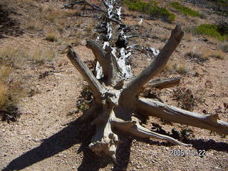 Bryce Canyon -- to Peek-a-boo Loop