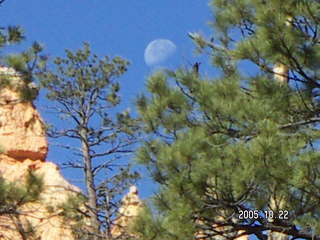 Sean Dogar climing down Lookout Mountain