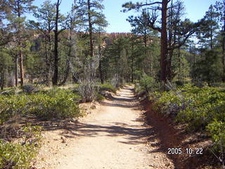 Bryce Canyon -- to Peek-a-boo Loop