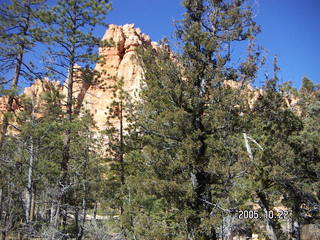 View up Lookout Mountain