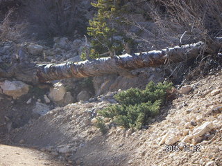 Bryce Canyon -- Peek-a-boo Loop