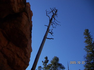 Bryce Canyon -- Peek-a-boo Loop