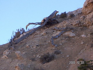 Bryce Canyon -- Peek-a-boo Loop