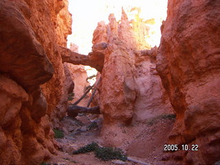 Bryce Canyon -- Navajo Loop -- twin bridges