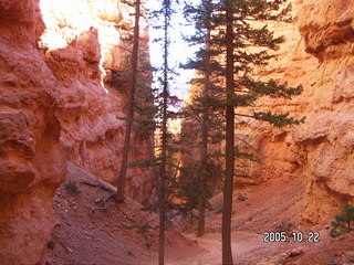 Bryce Canyon -- Navajo Loop