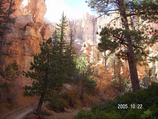 Bryce Canyon -- Peek-a-boo Loop