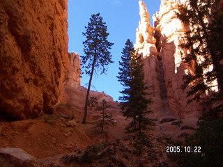 Bryce Canyon -- Adam -- Peek-a-boo Loop