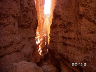 Bryce Canyon -- Navajo Loop -- Wall Street