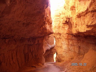 Bryce Canyon -- Navajo Loop -- Wall Street