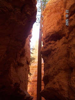 Bryce Canyon -- Navajo Loop