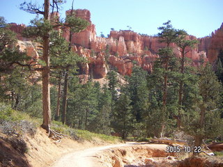 Bryce Canyon -- Navajo Loop