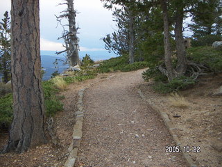 Bryce Canyon -- Bristlecone Loop Trail