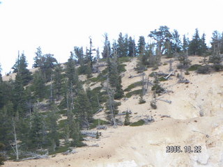 Bryce Canyon -- Bristlecone Loop Trail -- far view up close