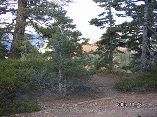 Bryce Canyon -- Navajo Loop