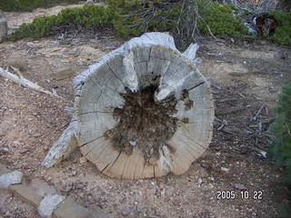 Bryce Canyon -- Navajo Loop