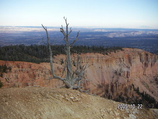 Bryce Canyon -- Bristlecone Loop Trail