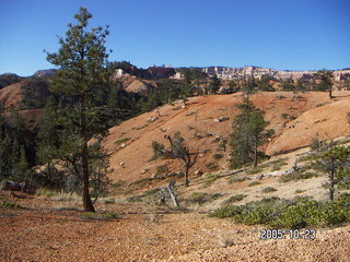 Bryce Canyon -- Fairyland Trail