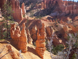 Bryce Canyon -- Fairyland Trail -- hardy plants
