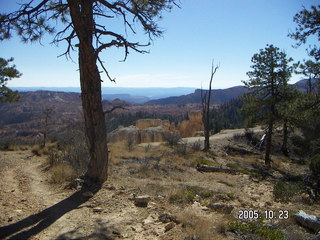 Bryce Canyon -- Rim Trail