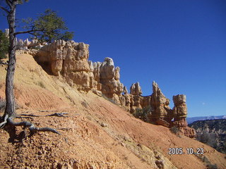 Bryce Canyon -- Rim Trail