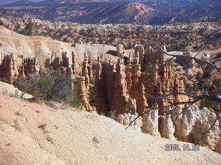 Bryce Canyon -- Fairyland Trail -- leaves on the hillside
