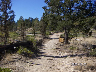 Bryce Canyon -- Fairyland View