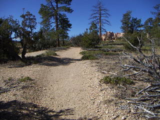 Bryce Canyon -- Rim Trail
